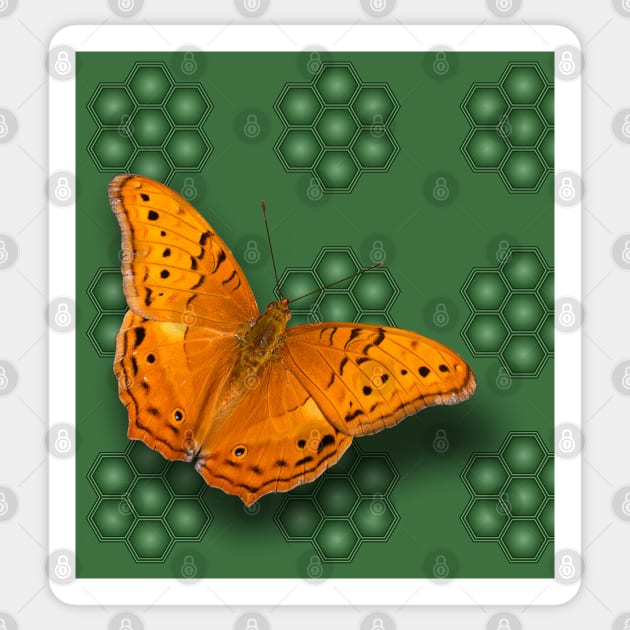 Beautiful orange butterfly on green pattern background Sticker by hereswendy